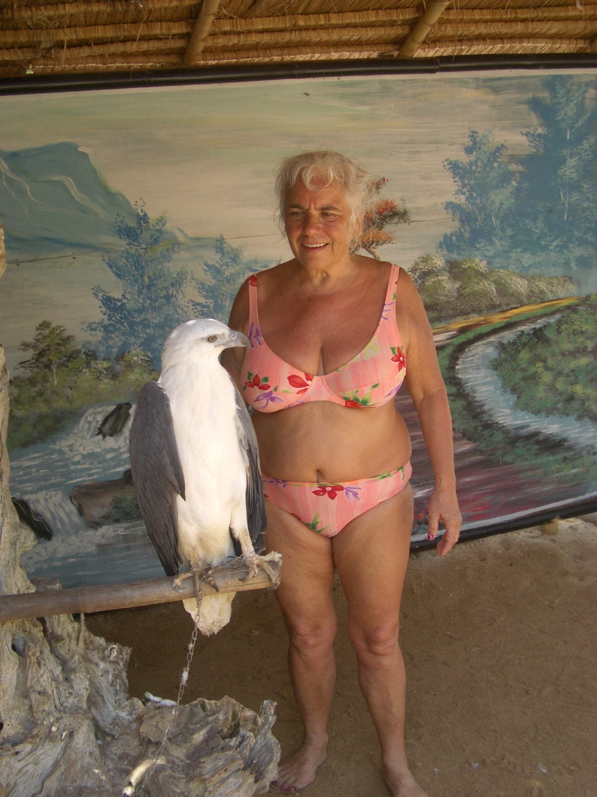 Drehen von IMGP1190.JPG